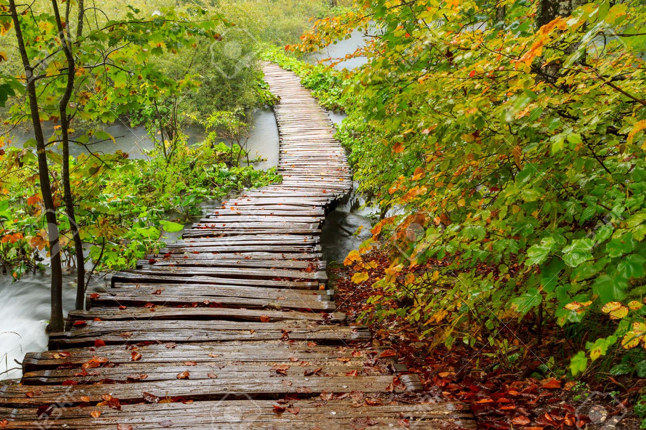 Wooden boardwalk winding through autumn forest beside the lakes at Plitvice