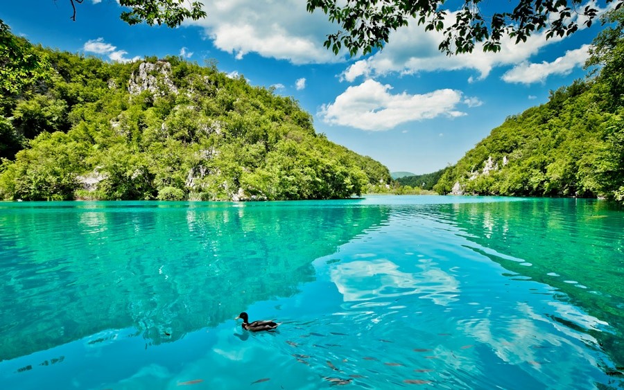 Turquoise lake water between wooded cliffs in Plitvice Lakes National Park