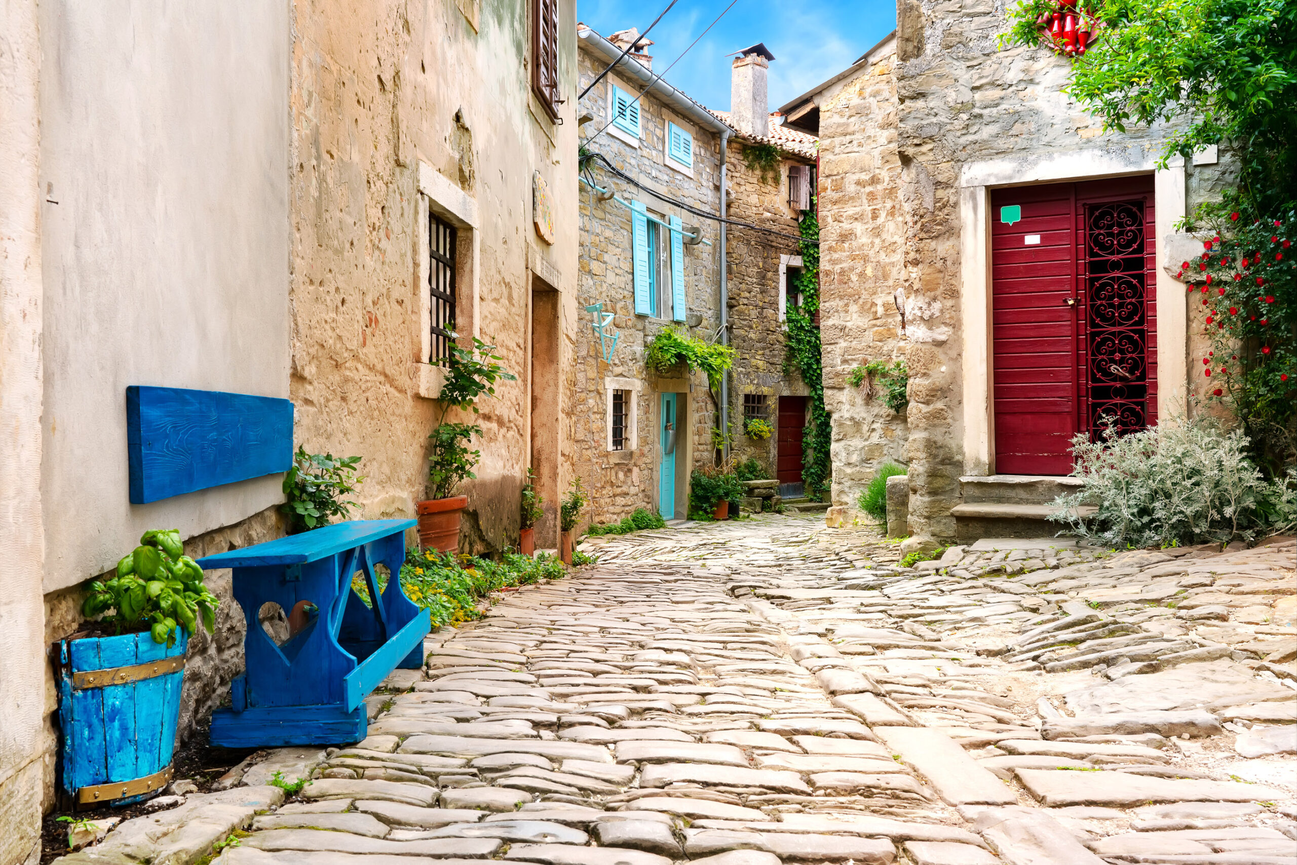 A narrow cobbled Istrian street with a stone house, red wooden door and a blue planter of flowers